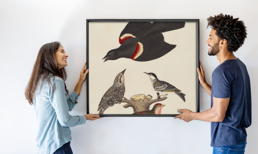 Alexander Lawson after Alexander Wilson