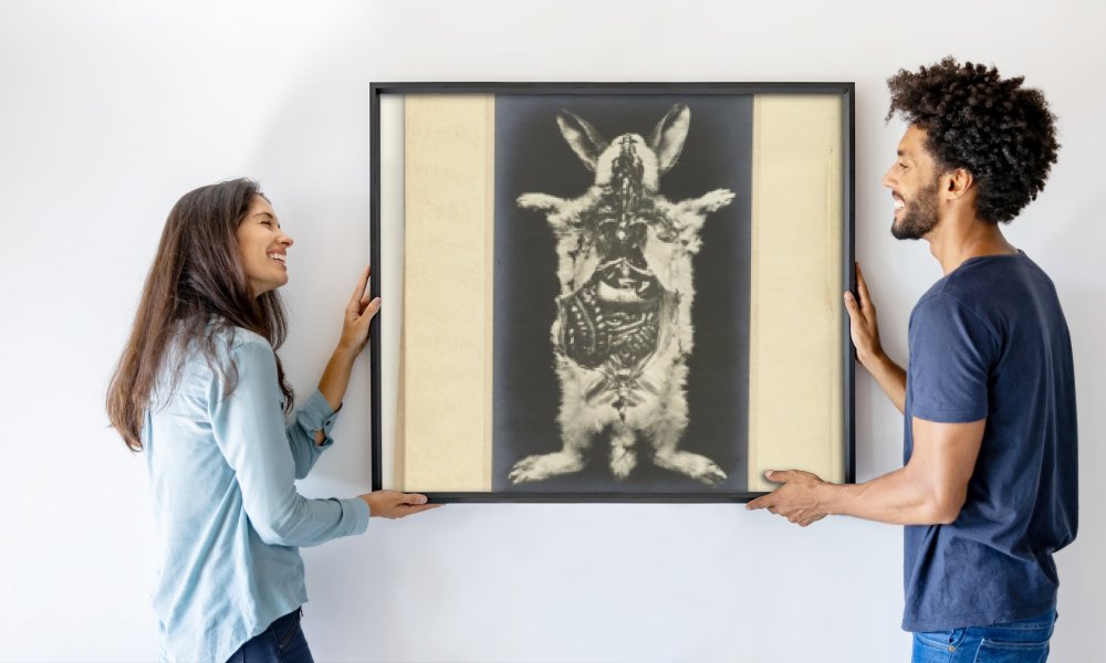 Adolphe Louis Donnadieu