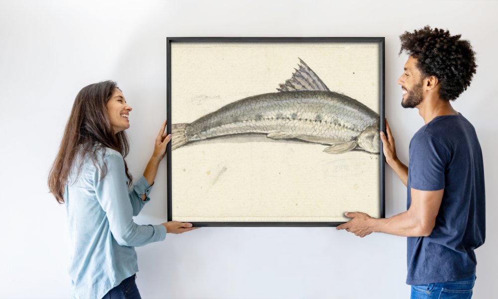 Johannes le Francq van Berkhey