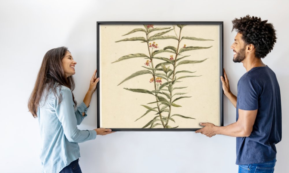 Laurens Vincentsz. van der Vinne