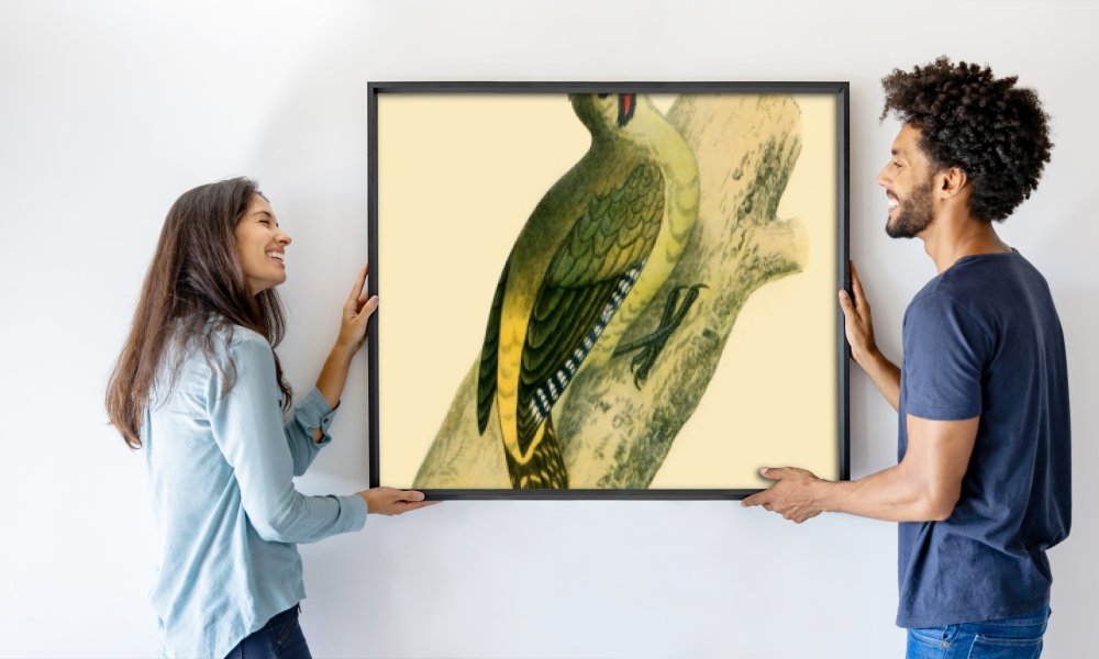 Francis Orpen Morris