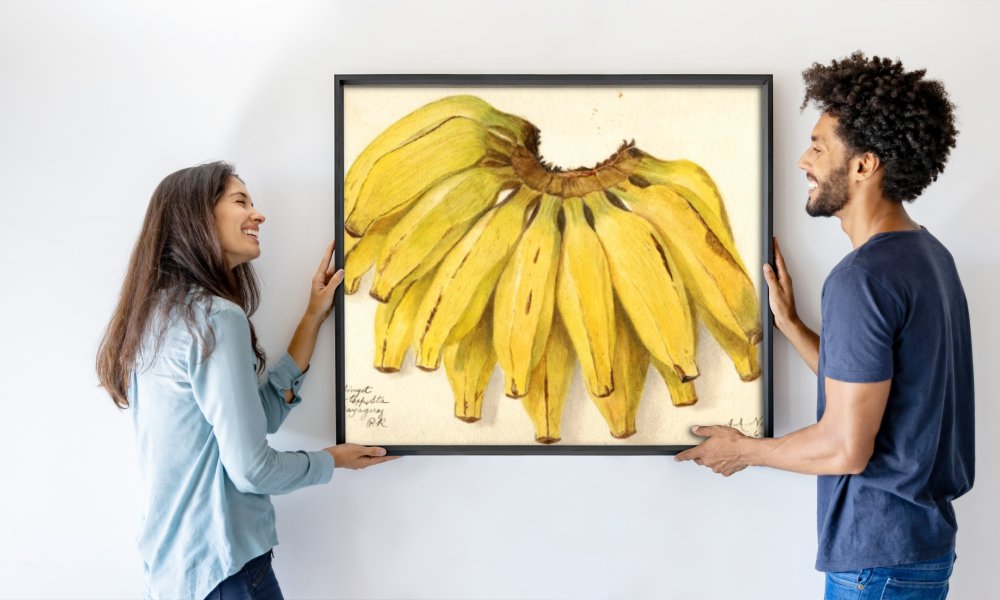 Amanda Almira Newton