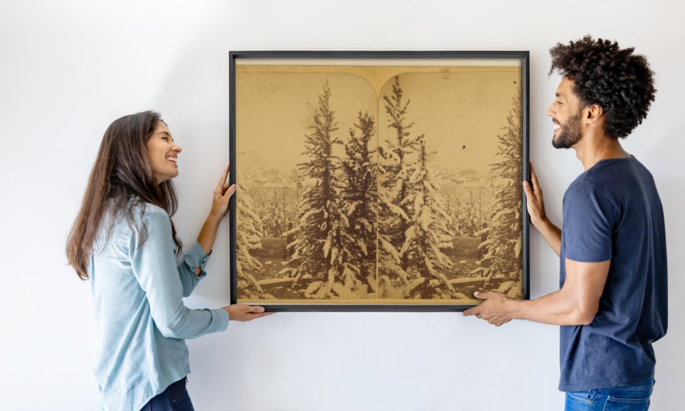 Wellington O. Luke and Dansford Noble Wheeler