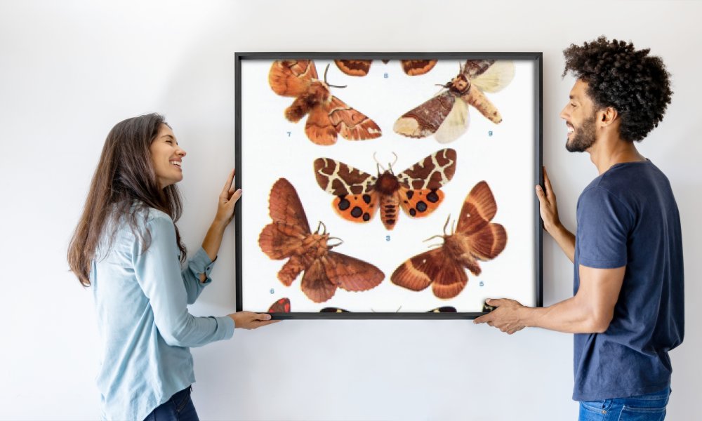 William Samuel Furneaux