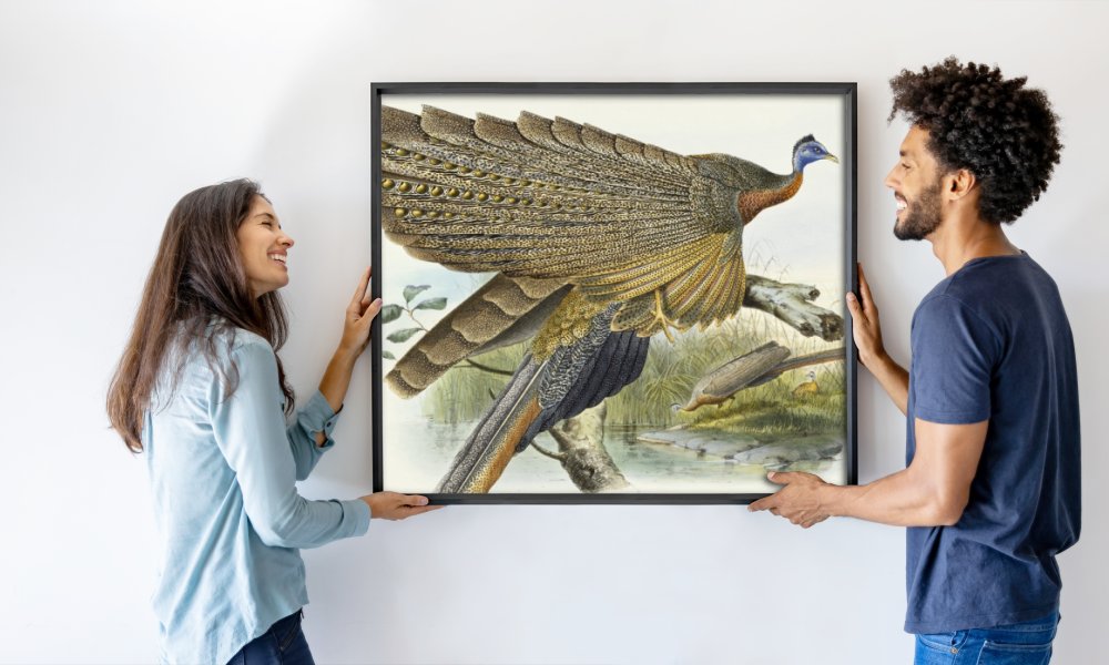 Daniel Giraud Elliot