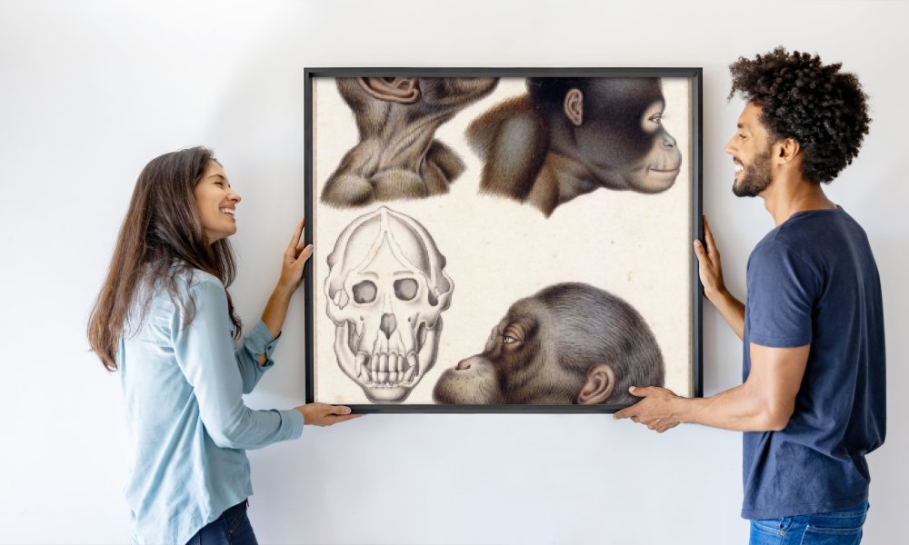 Antoine Charles Vauthier