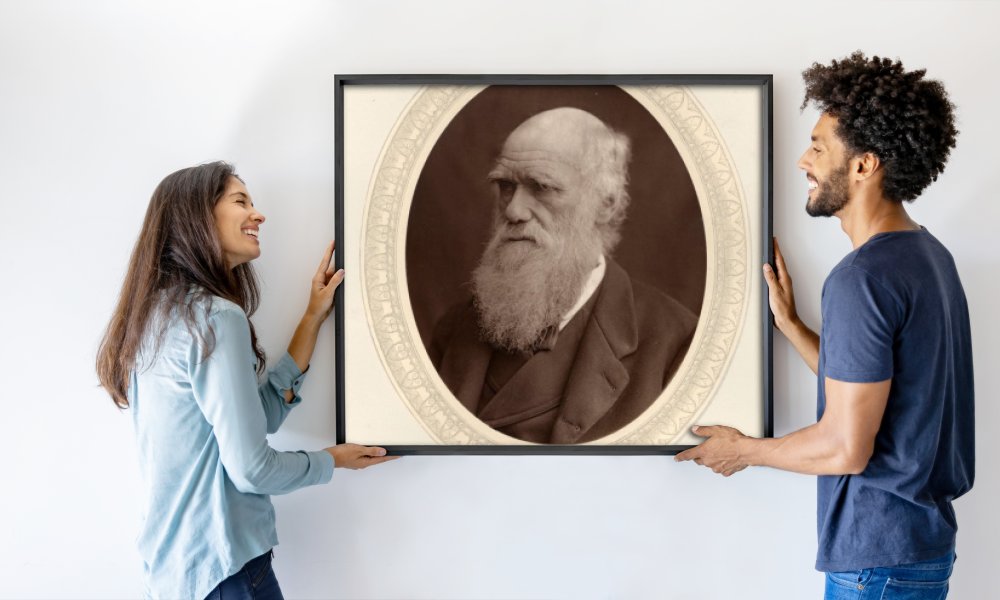 Photo studio Lock and Whitfield