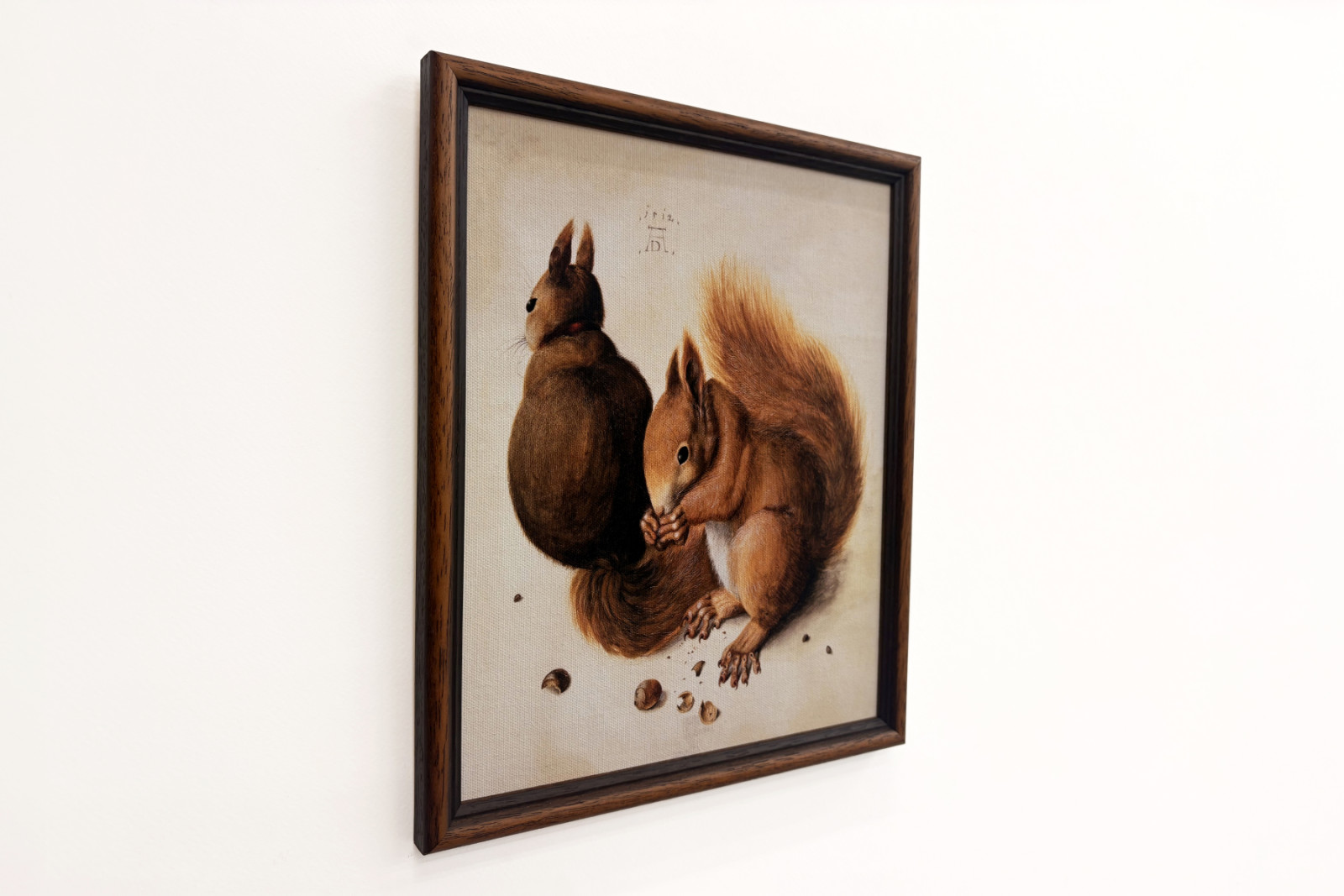 Squirrels, 1512 - Albrecht Dürer
