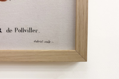 Poirier de Pollviller - in 'Nouveau Duhamel du Monceau ou Traité des Arbres et Shrustes que le Culture en France'