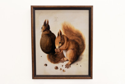 Squirrels, 1512