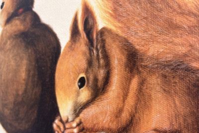 Squirrels, 1512