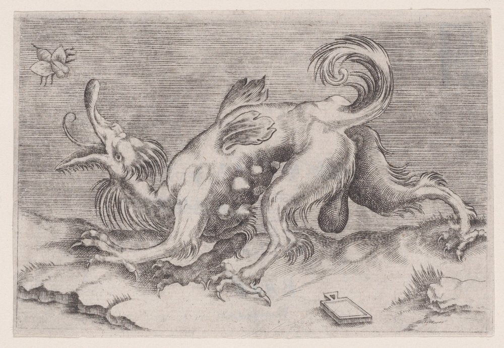 The Dragon and the Bee by Agostino Veneziano