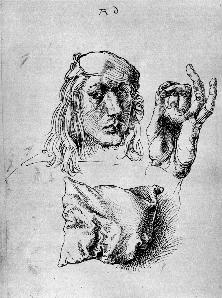 albrecht durer pillow drawing