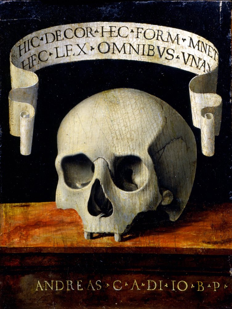 Memento Mori by Andrea Previtali: Buy fine art print
