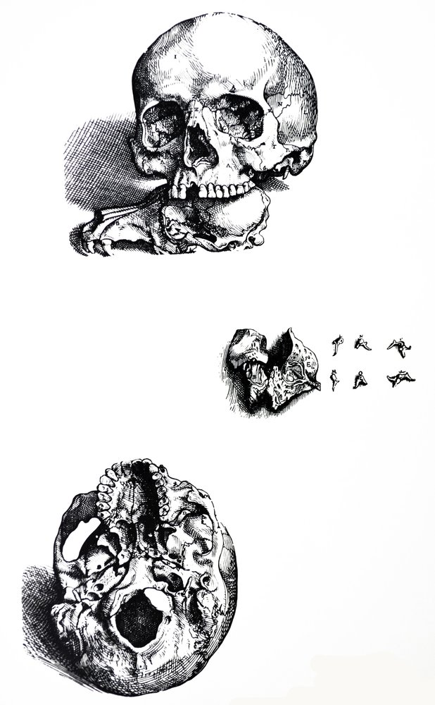 The Plates from the First Book of the De Humani Corporis Fabrica by Andreas Vesalius