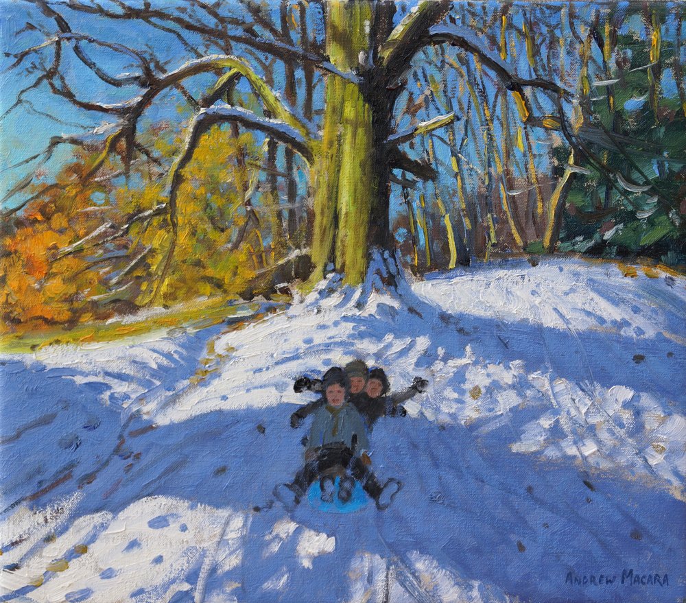 Three on a Sledge, Allestree Park Derby by Andrew Macara