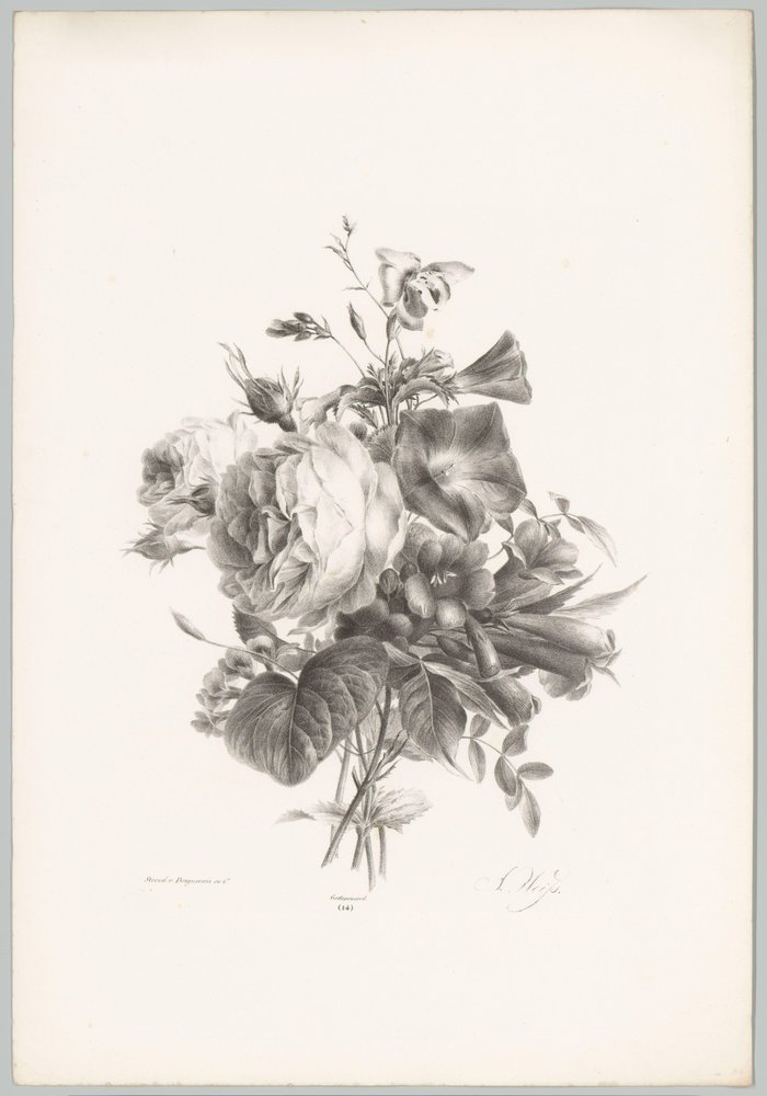 Roses and Cup-shaped Flowers (Flower and Fruit Studies, 10th installment) by Anton Weiss