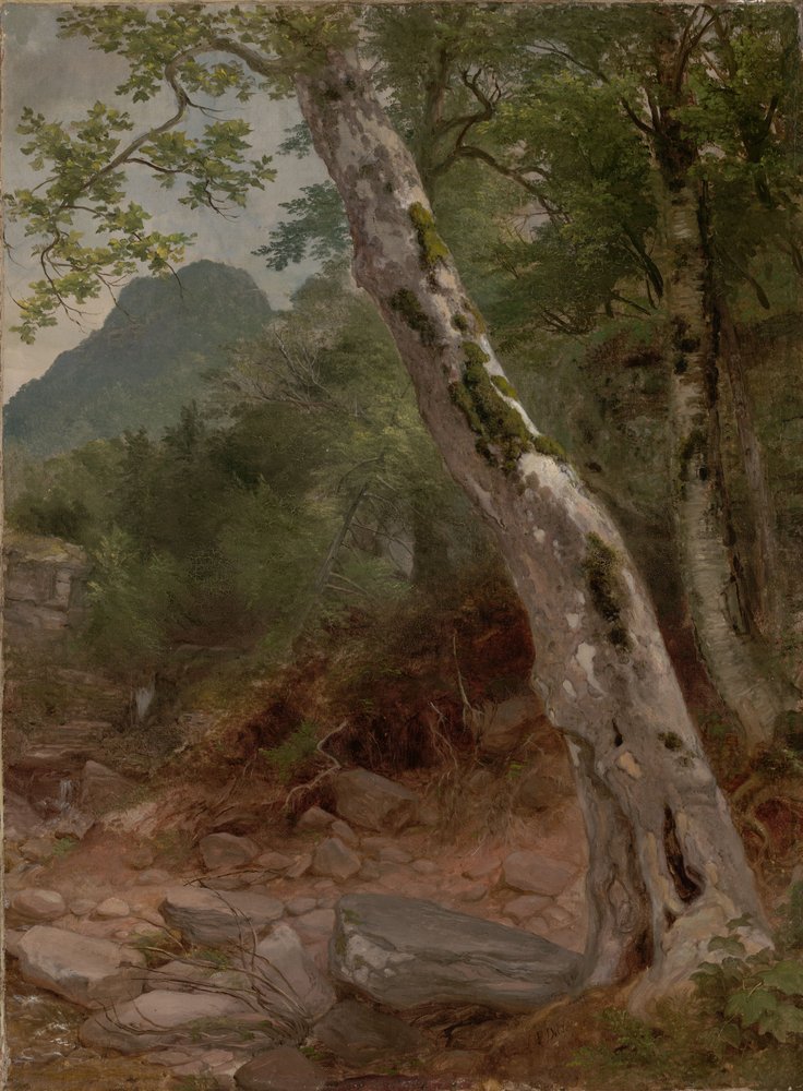A Sycamore Tree, Plaaterkill Clove (The Sycamore, Kaaterskill Clove) by Asher Brown Durand