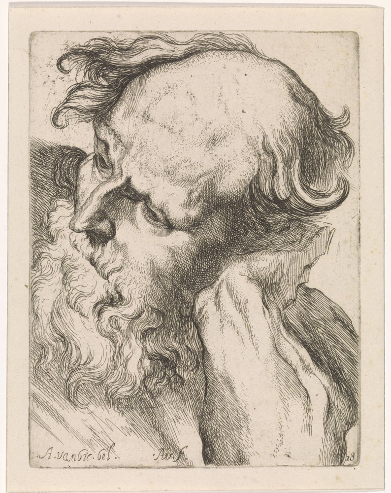 Head of an Old Man (Joseph) by Augustinus Terwesten (I)