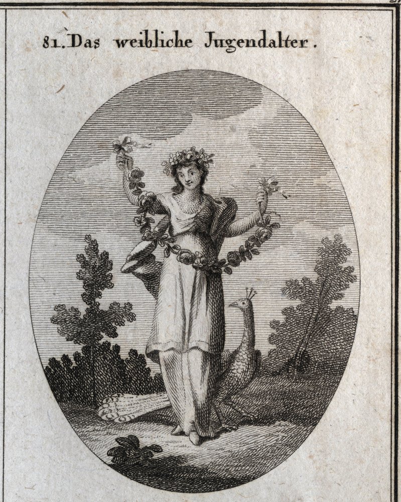 Allegory of adolescence (teenage girl) represented by a young woman with a crown and a garland of flowers to denote happy felicity. The peacock represents the love of adornment. Her foot is placed on an hourglass. Engraving in “Iconologie o” by Austrian School