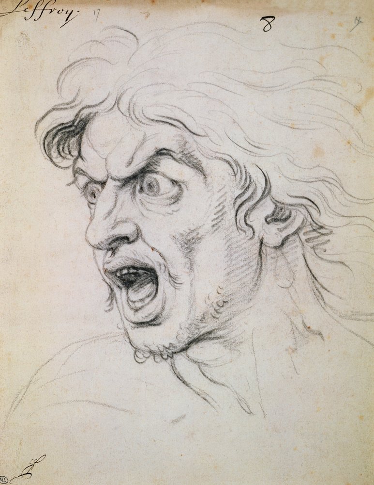 The Head of a Man Screaming in Terror (detail) by Charles Le Brun