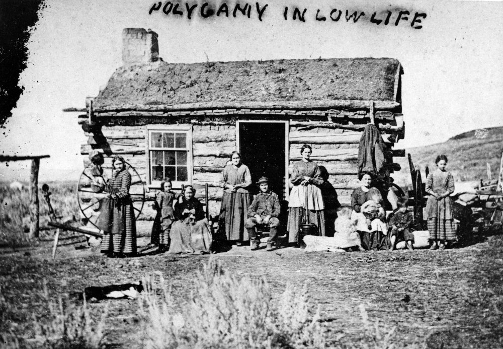 Polygamy In Low Life by Charles Roscoe Savage