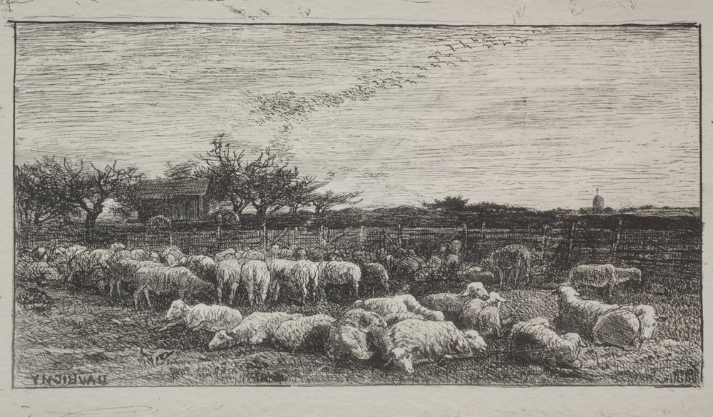 The Large Sheepfold by Charles Francois Daubigny
