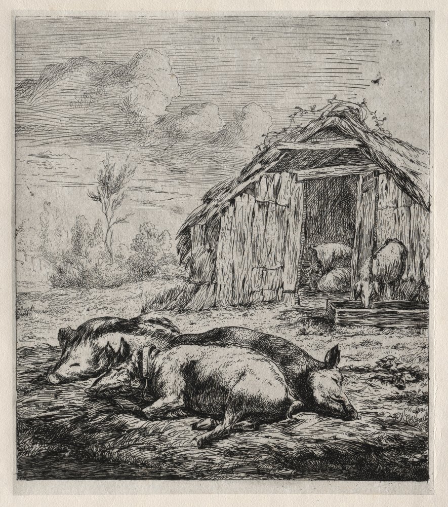 Three Swine Lying in Front of a Sty by Charles Meryon