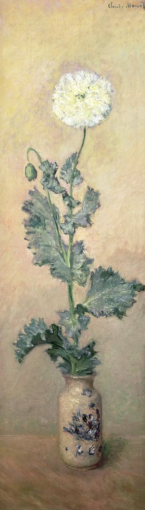 White Poppy, 1883 by Claude Monet
