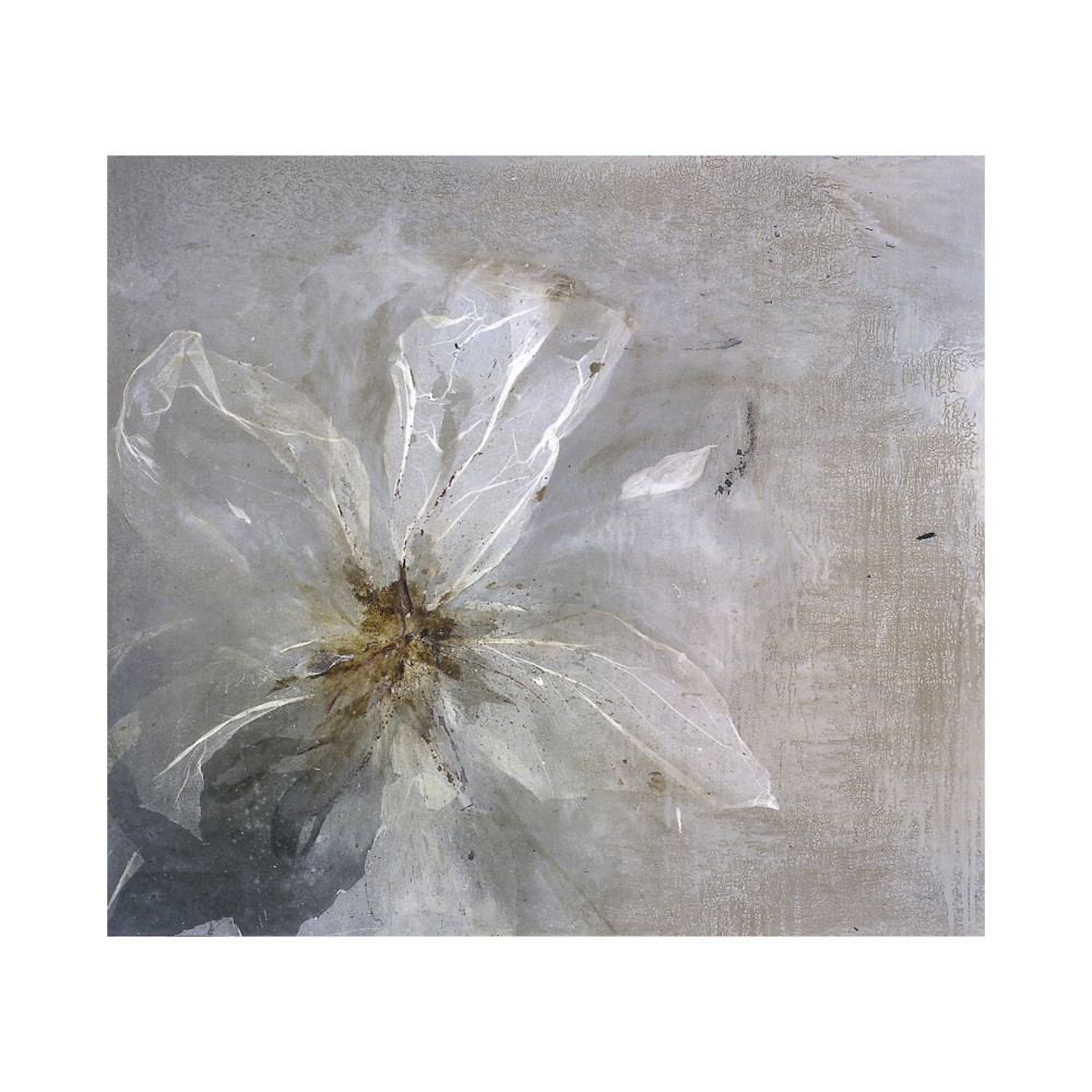 Passionate Outburst by Clotilde Ancarani