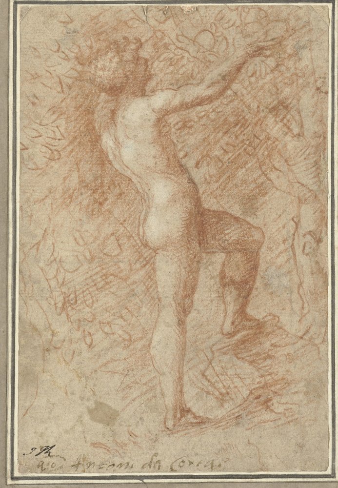 Adam Picking the Apple from the Tree by Correggio