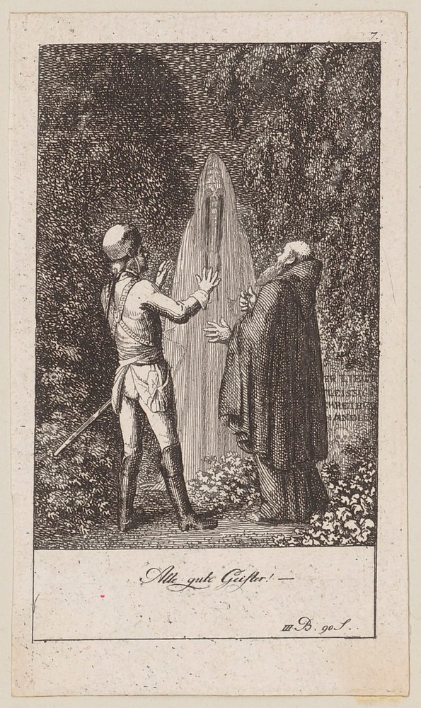 Plate 7 for Blumauer