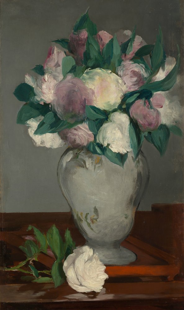 Peonies, 1864-65 by Édouard Manet