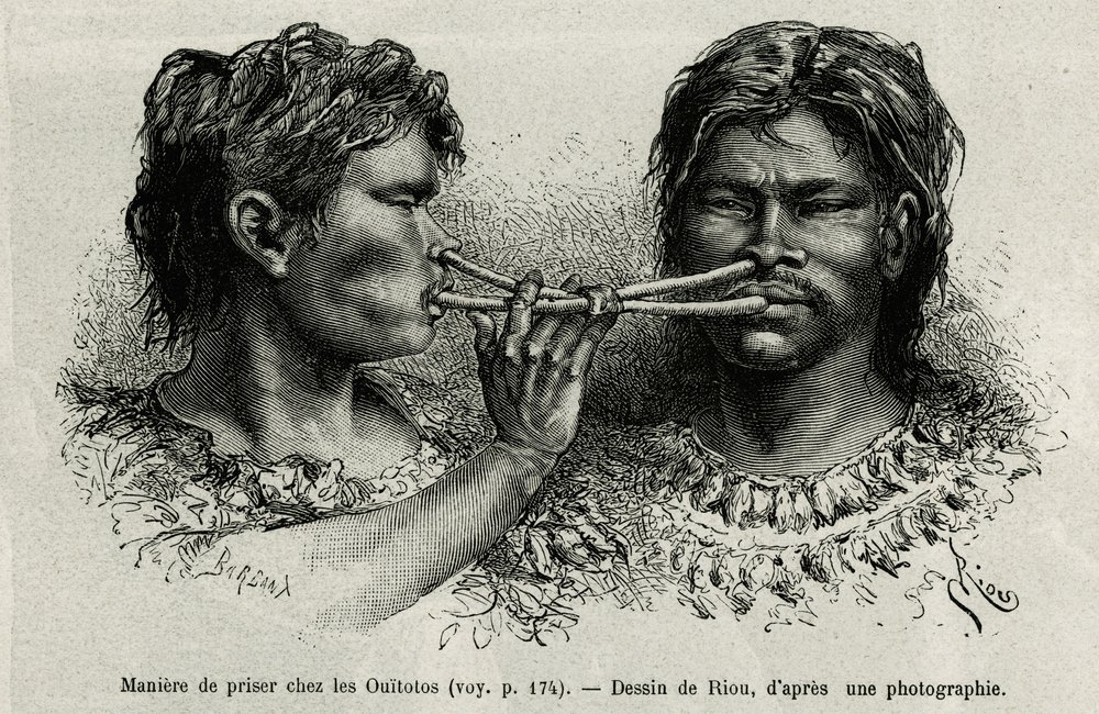 An instrument made of bird bone and a way of snuffing among the Indians ...
