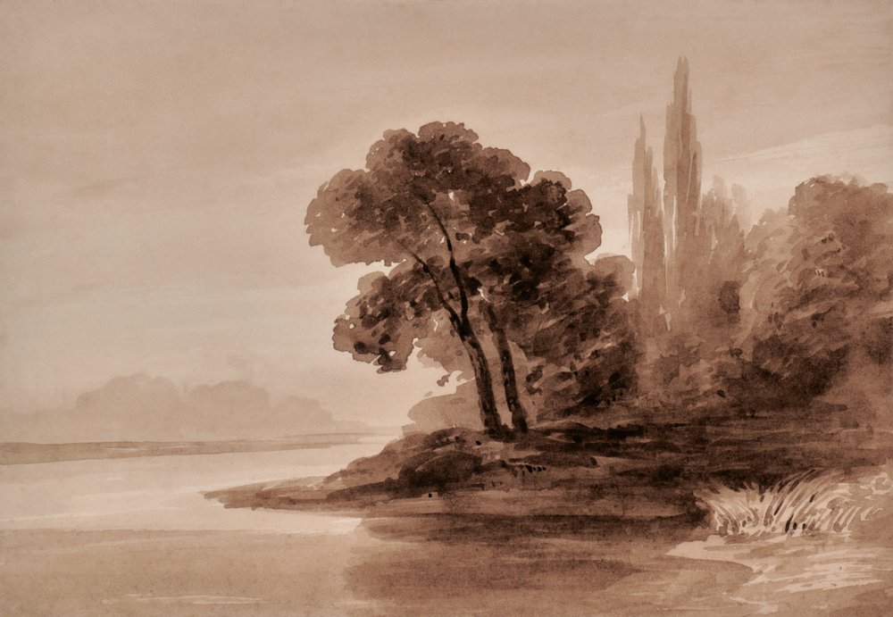 Landscape with Trees by Edward Pretty