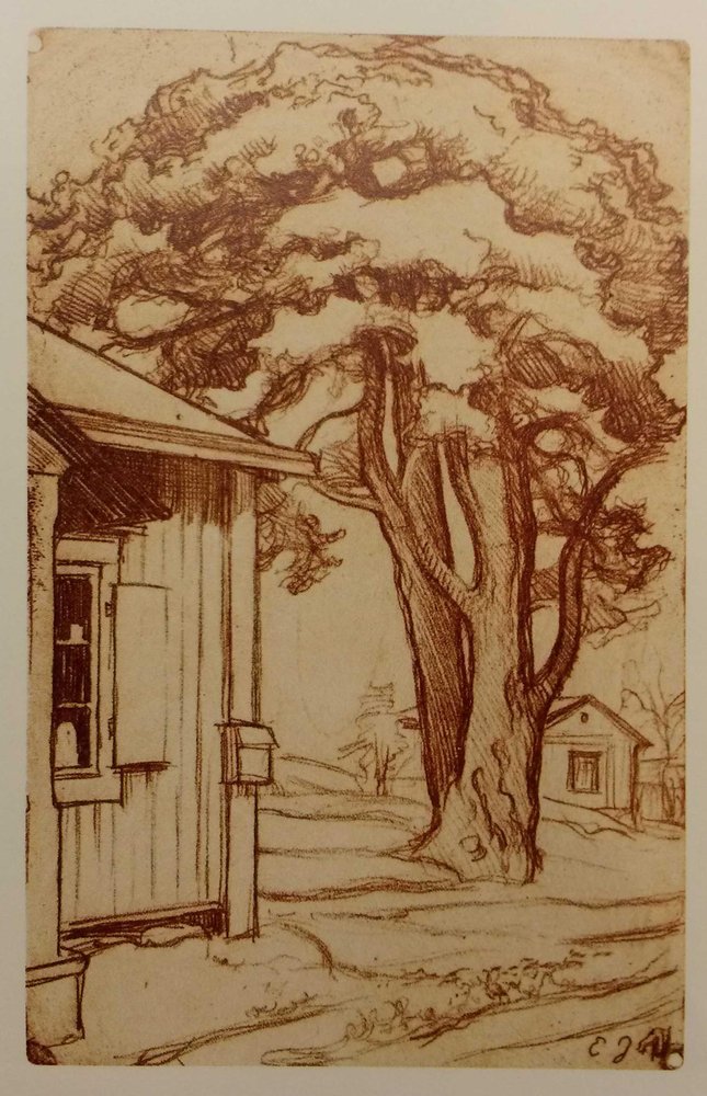 Tuomala Pine II by Eero Järnefelt