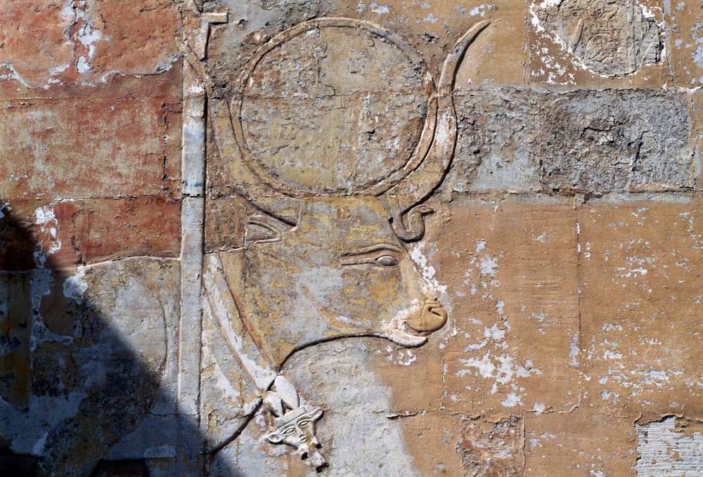 Relief with Hathor as sacred cow, Mortuary Temple of Hatshepsut, Deir ...