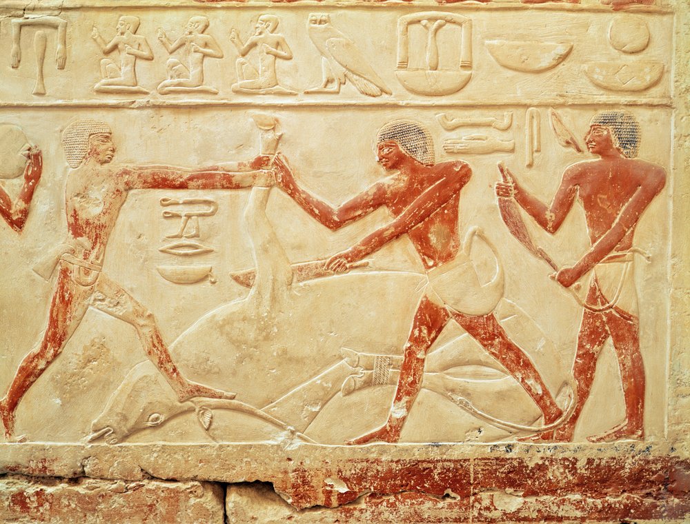 Butchers Slaughtering an Ox, relief from the Tomb of Princess Idut, Old ...