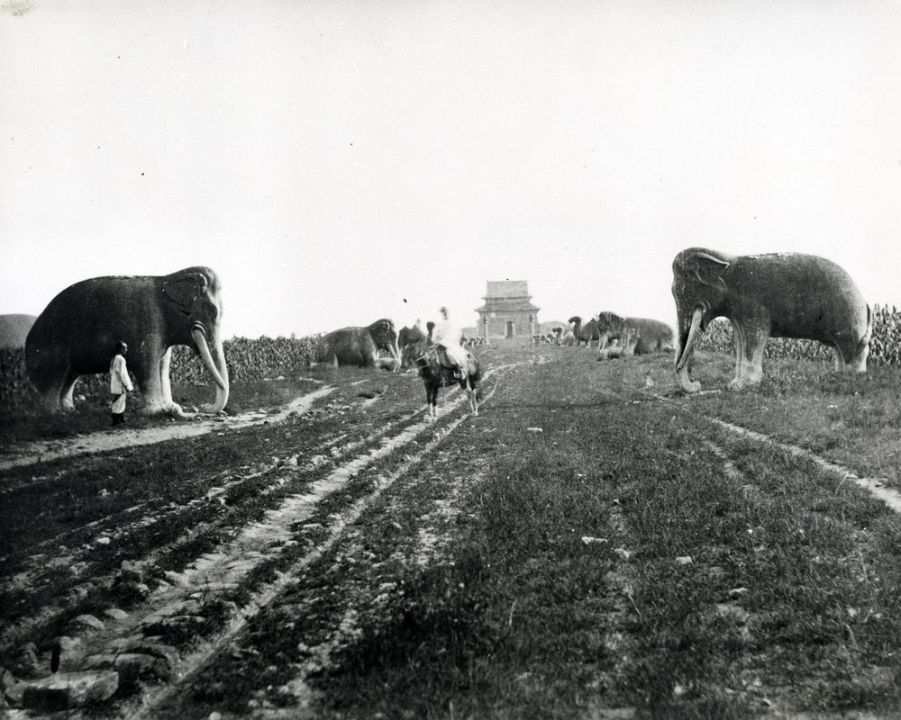 Avenue of Guardian Animals Leading to the Ming Tombs, Peking by English Photographer