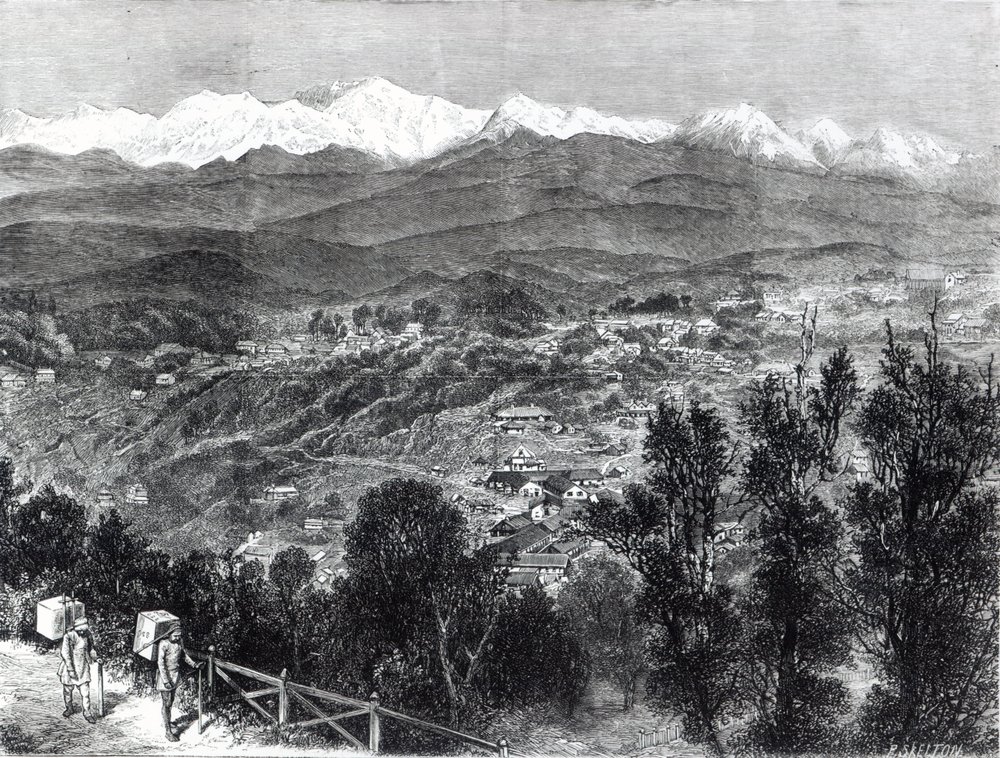 Tea Cultivation in British India - View of Darjeeling from the South, 1876 by English School