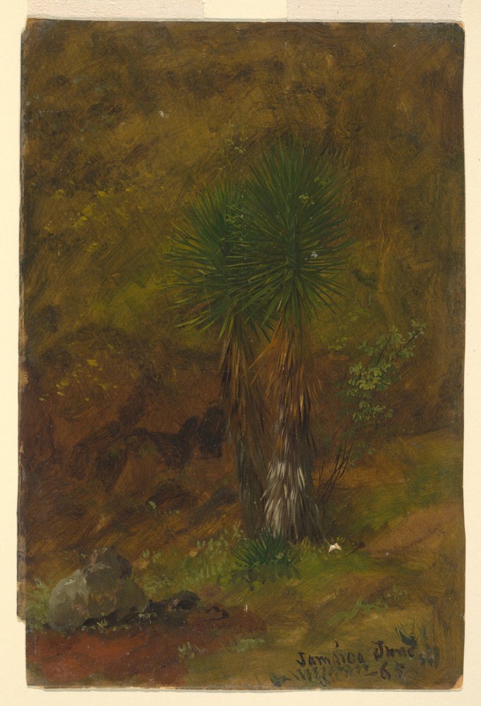 Palm Trees, July 1865 by Frederic Edwin Church