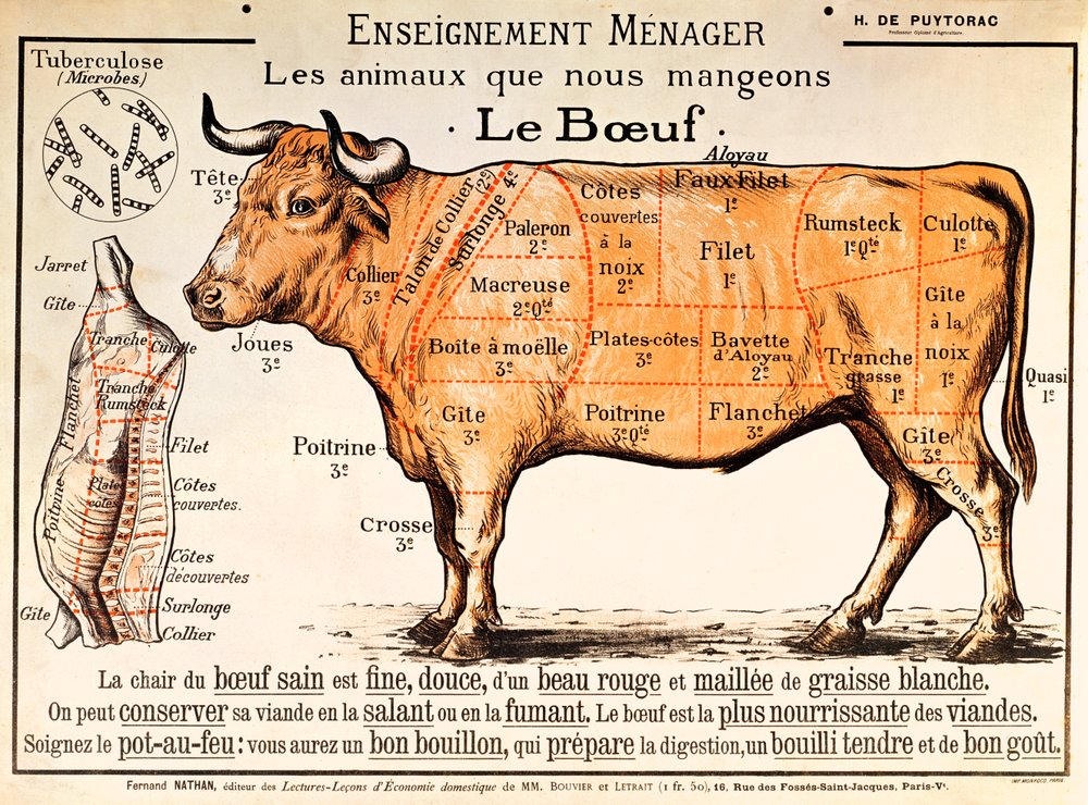 Beef: diagram depicting the different cuts of meat by French School