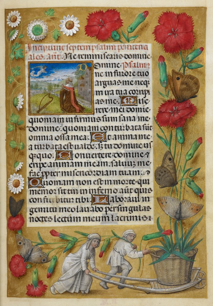 Penitential Psalms. Foot of folio: woman pushing a wheelbarrow bearing a large carnation growing out of a pot by French School