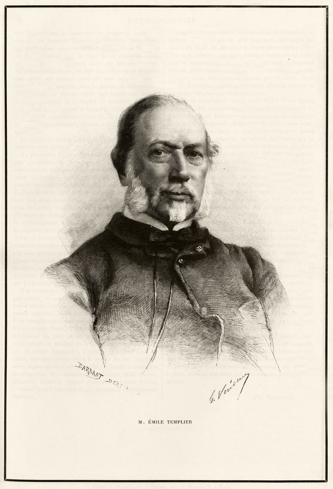 Portrait of Emile Templier (1821-1891), collaborator of Louis Hachette, in charge of the manufacture of the 