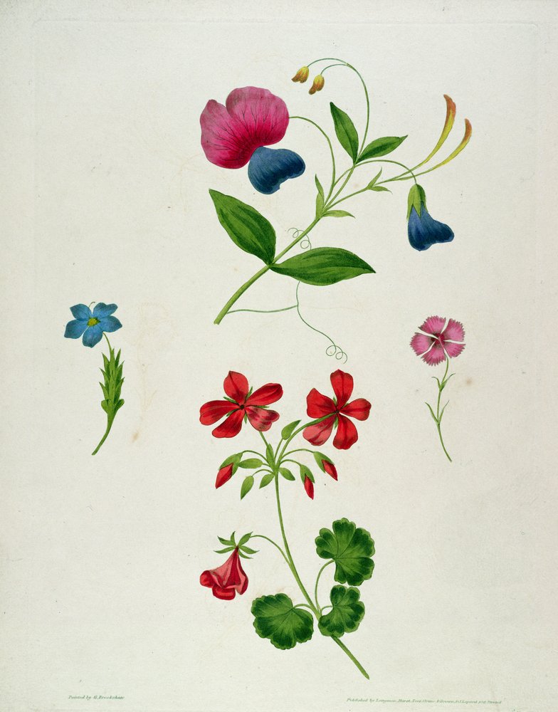 An illustration from 