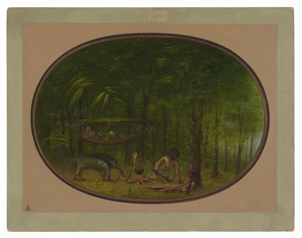 The Great Ant-Eater by George Catlin