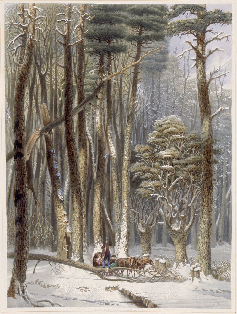 Winter, Impeded Travellers in a Pine Forest, from Harvey