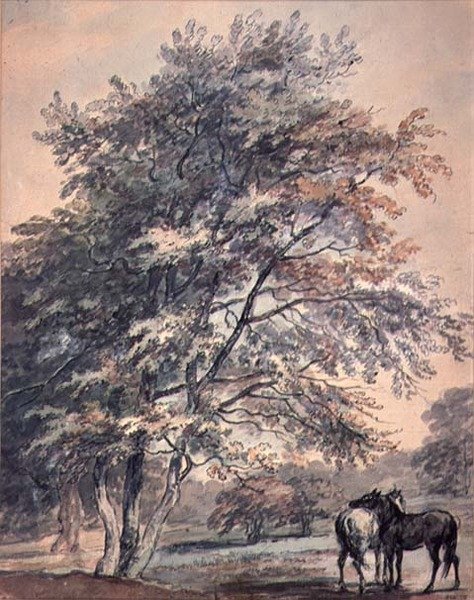 Trees and Horses by George the Elder Barret