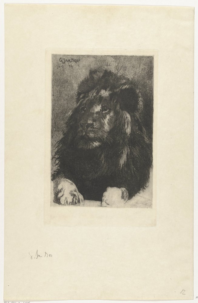 Head of a Lion by Gerard Jan Bos