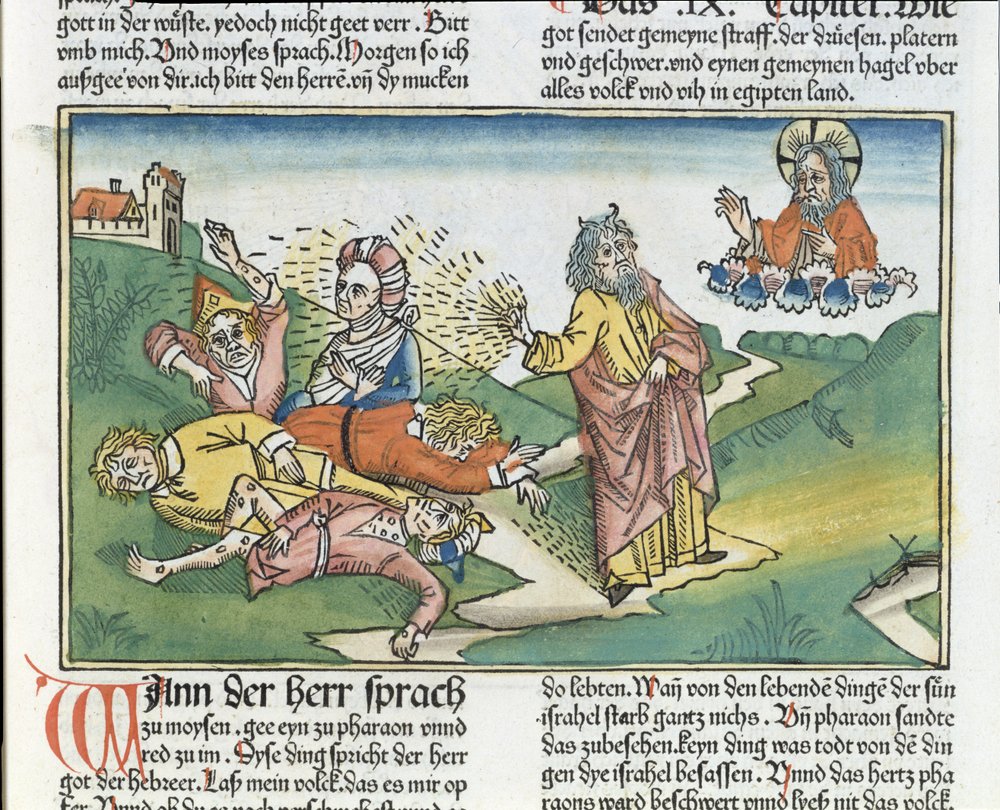 Exodus 9812 The Seven Plagues of Egypt Moses and the